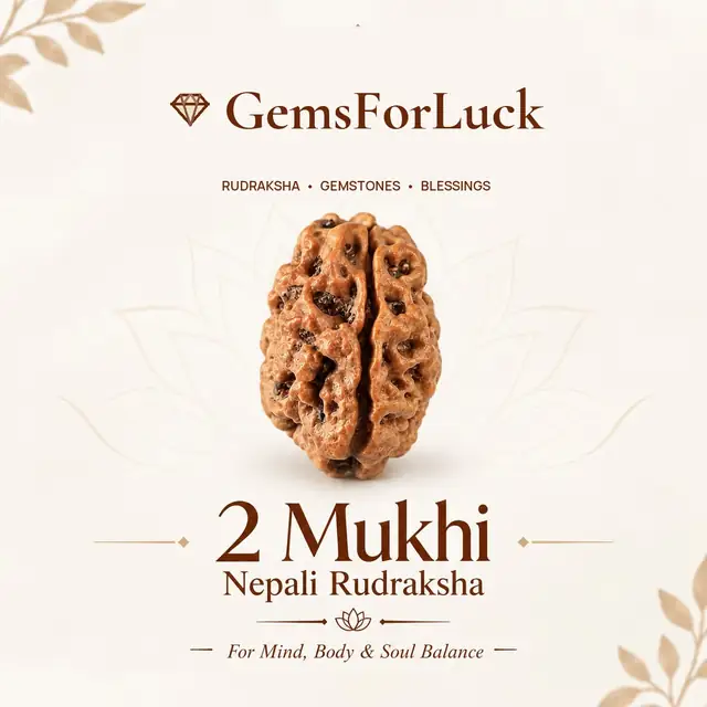 2 Faced Nepali Rudraksha