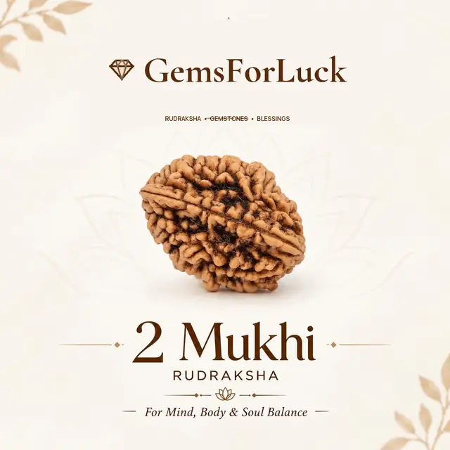02 Mukhi Rameshwaram Rudraksha