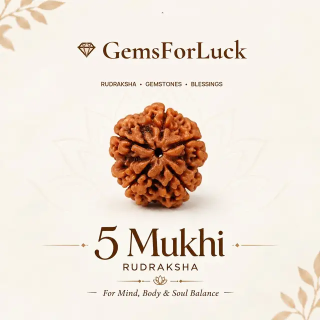 05 Mukhi / Faced Natural Nepali Rudraksha Beads