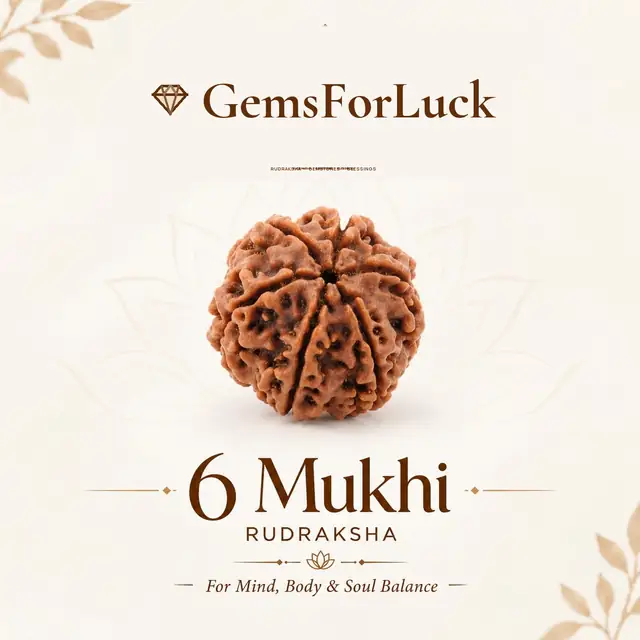 06 Mukhi / Faced Natural Nepali Rudraksha Beads