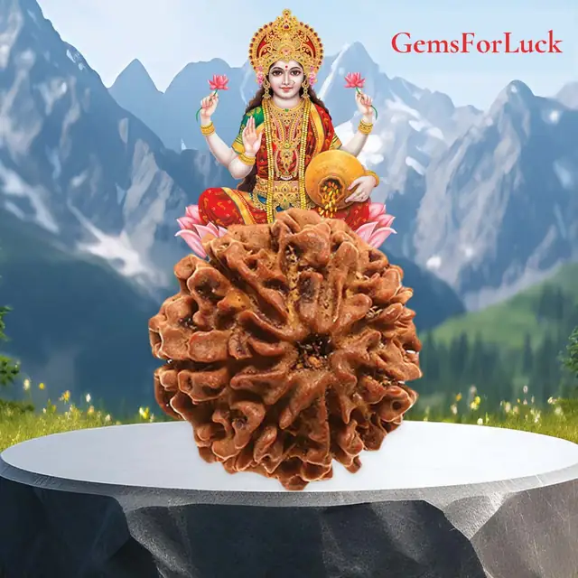 07 Faced Natural Nepali Rudraksha Beads Collector