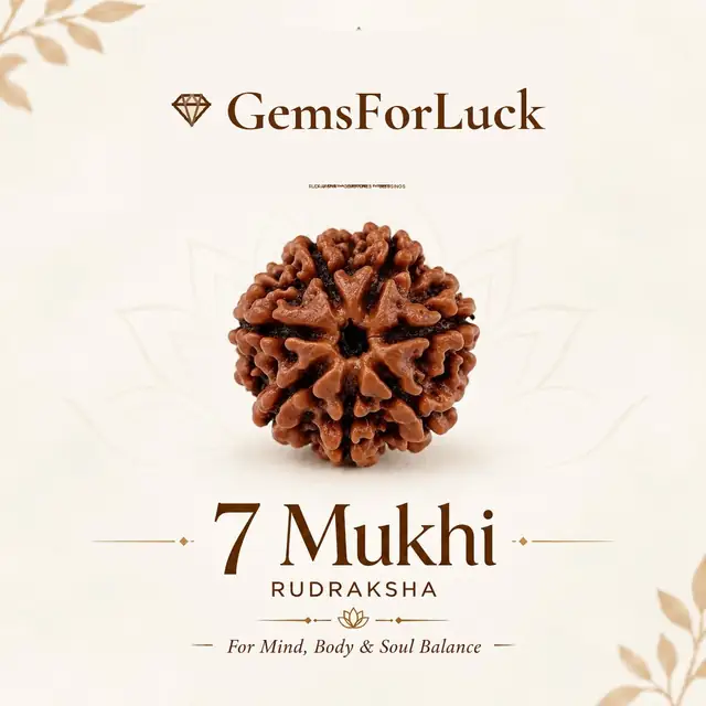 07 Faced Natural Nepali Rudraksha Beads