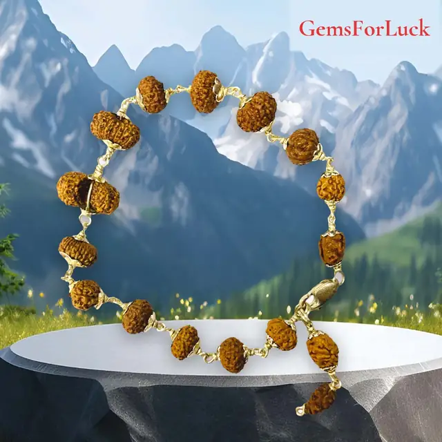 1 - 14 Mukhi Indonesian Rudraksha Bracelet In Pure Silver – image 2