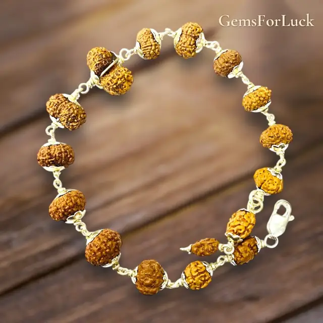 1 - 14 Mukhi Indonesian Rudraksha Bracelet In Pure Silver – image 4