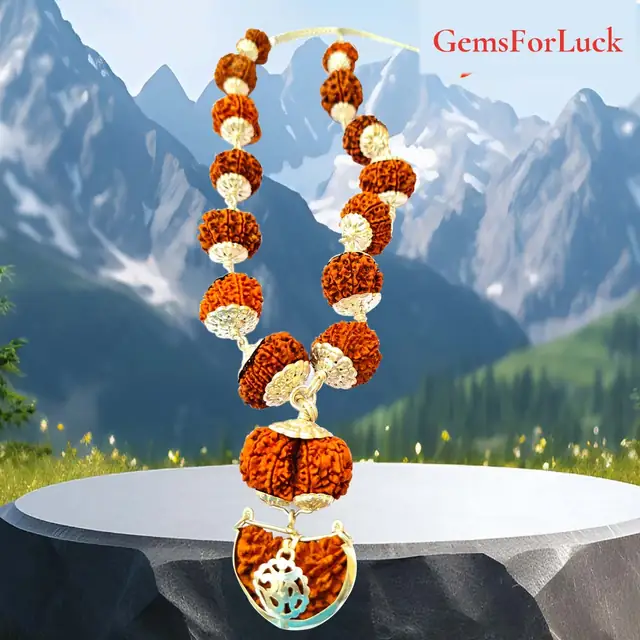 1 -14 Mukhi Rudraksha Siddha Mala with silver Cap nepali