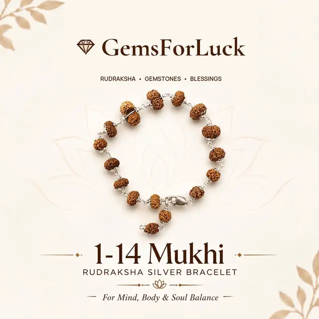 1 -14 Mukhi Rudraksha Silver Bracelet