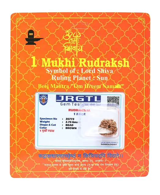 1 Mukhi Gol Rudraksha – image 2