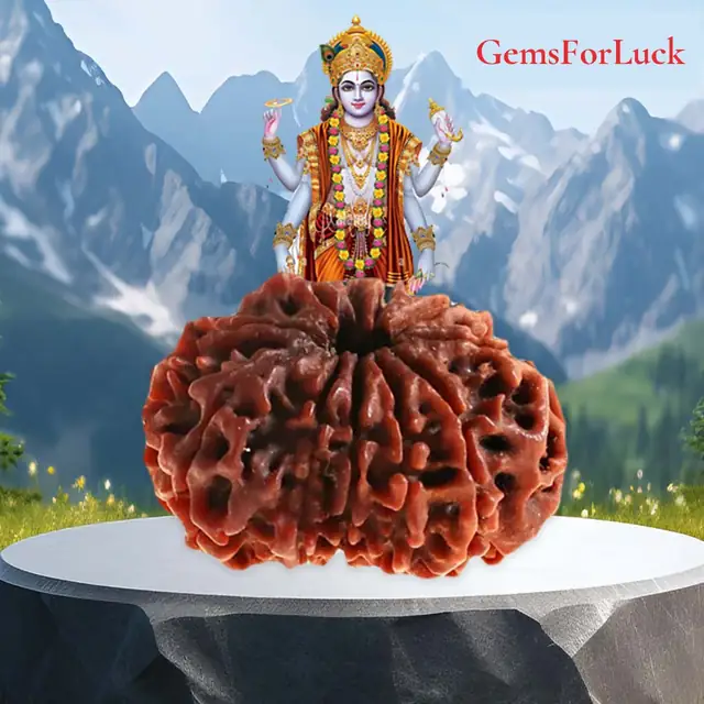 10 Faced Natural Nepali Rudraksha Beads collector