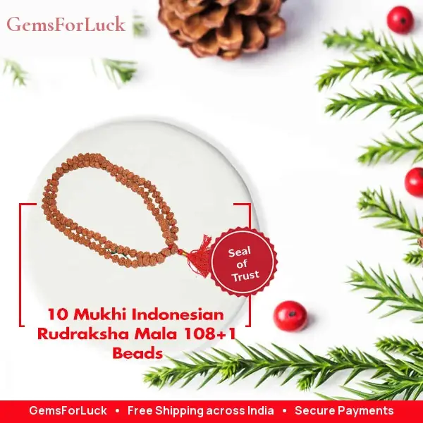 10 Mukhi Indonesian Rudraksha Mala – image 2