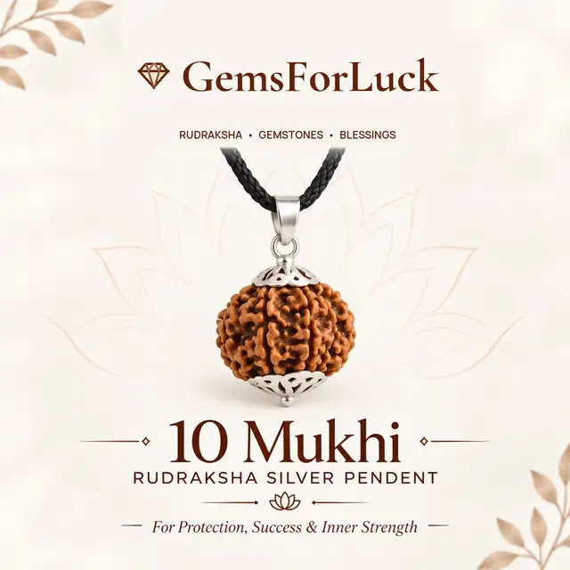 10 Mukhi Rudraksha Pendant