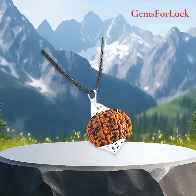 10 Mukhi Rudraksha Pendant – image 2