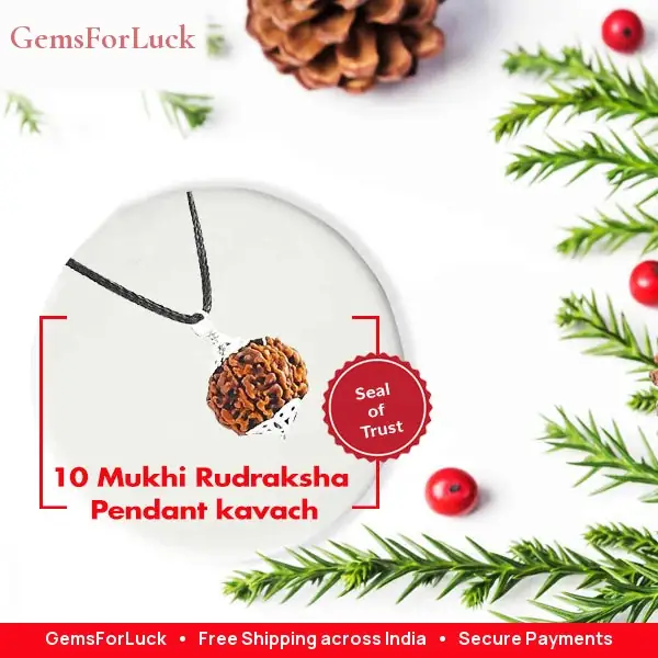 10 Mukhi Rudraksha Pendant – image 3