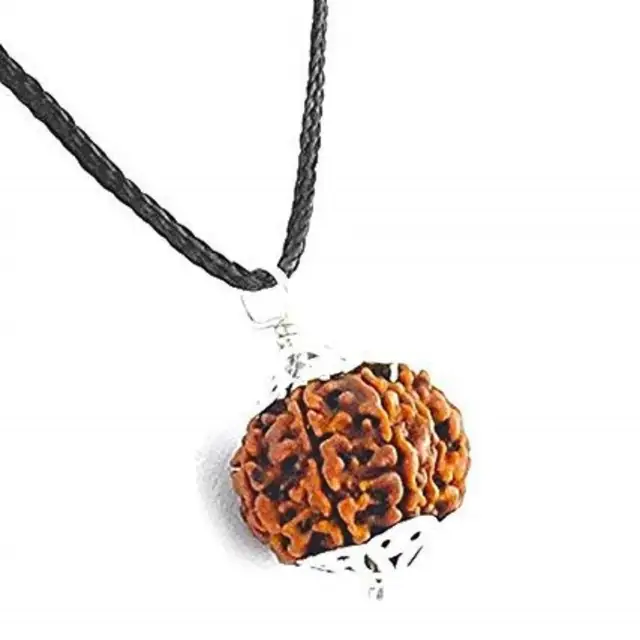 10 Mukhi Rudraksha Pendant – image 4