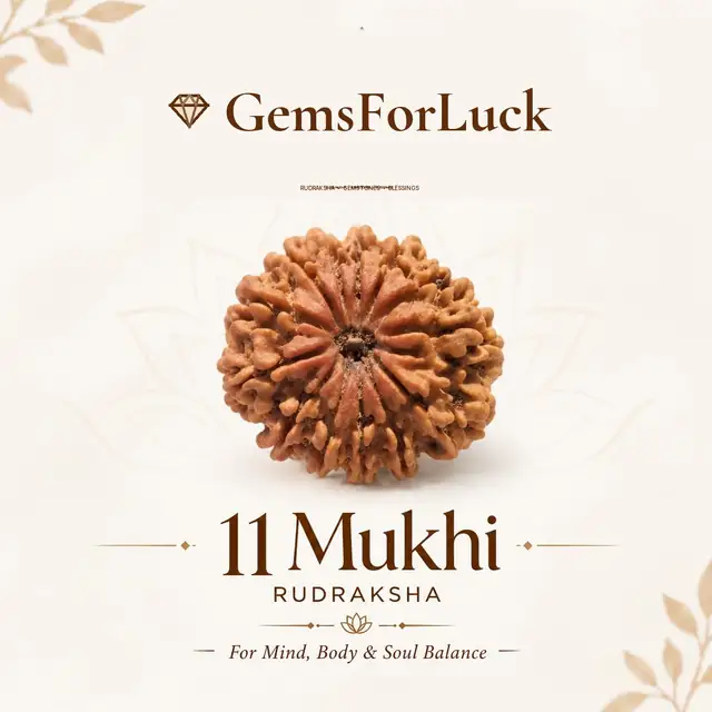 11 Faced / Mukhi Nepali Rudraksha Beads