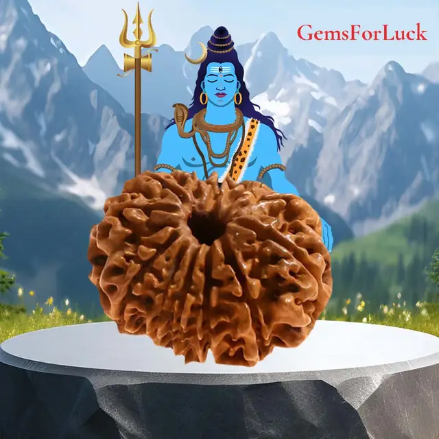 12 Faced Natural Nepali Rudraksha Beads – image 2