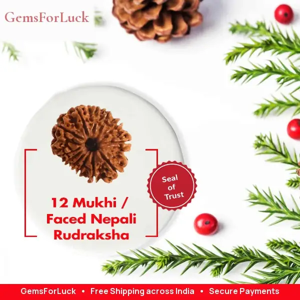 12 Faced Natural Nepali Rudraksha Beads – image 3