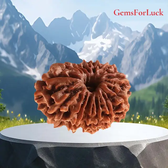 13 Faced Natural Nepali Rudraksha Beads – image 2