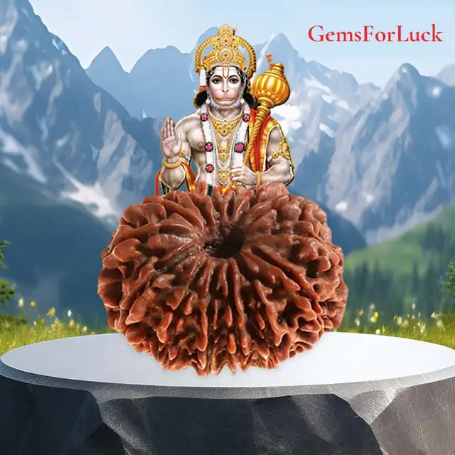 14 Faced Natural Nepali Rudraksha Beads – image 2