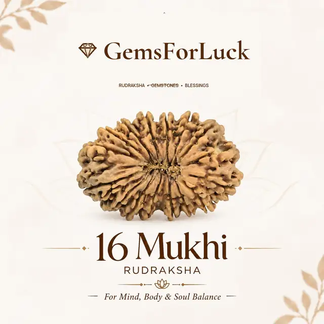 16 Faced Natural Nepali Rudraksha Beads