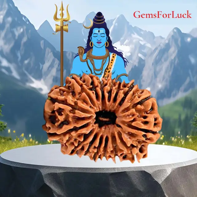 16 Faced Natural Nepali Rudraksha Beads – image 2