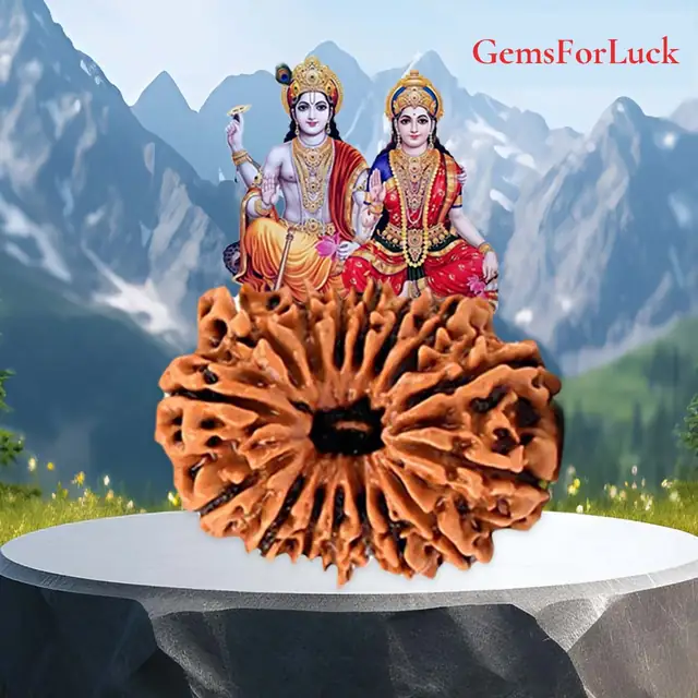 17 Faced Natural Nepali Rudraksha Beads – image 2
