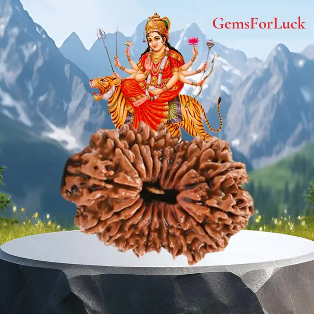 18 Mukhi Nepali Rudraksha Beads collector