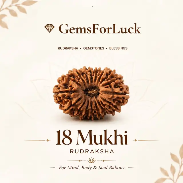 18 Mukhi Nepali Rudraksha Beads