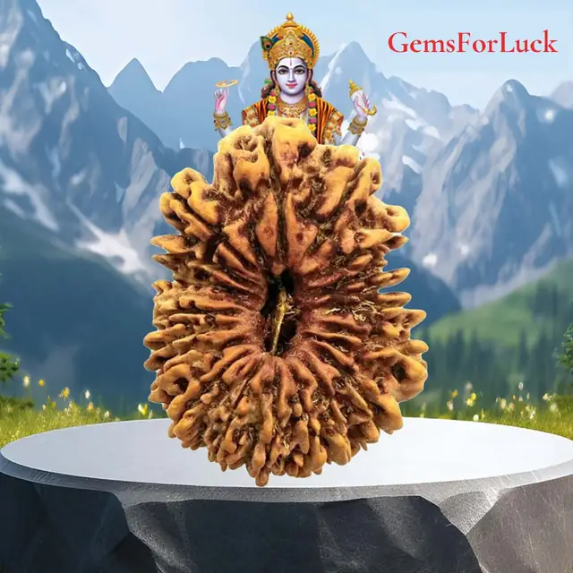 19 Mukhi Nepali Rudraksha Beads