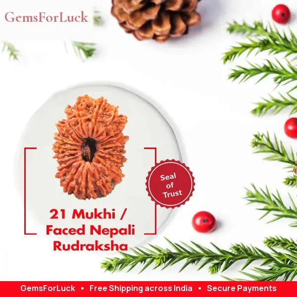21 Faced Natural Nepali Rudraksha Beads – image 2