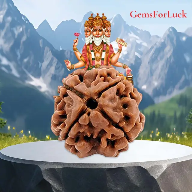 4 face / Mukhi Nepali Rudraksha – image 2