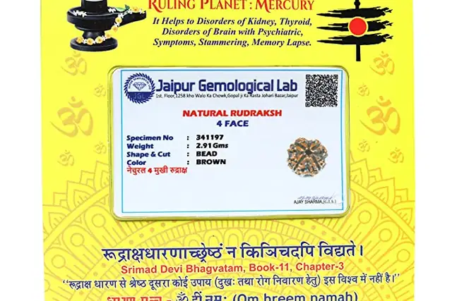 4 face / Mukhi Nepali Rudraksha – image 5