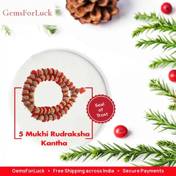 5 mukhi rudraksha kantha – image 2