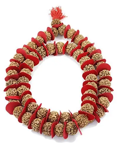 5 mukhi rudraksha kantha – image 3