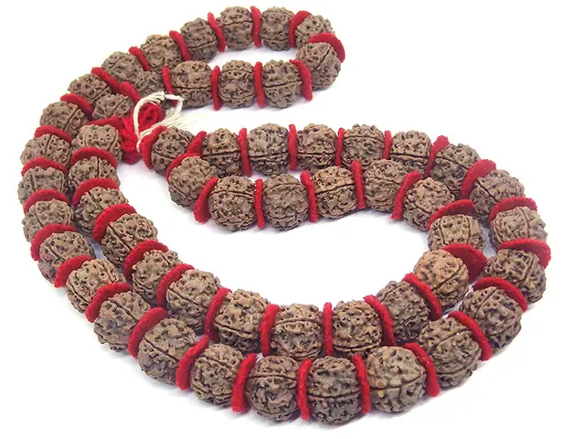 5 mukhi rudraksha kantha – image 4