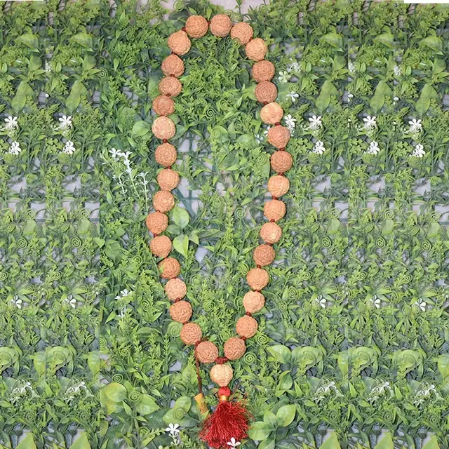 7 Faced Mahalaxmi Rudraksha Mala – image 4