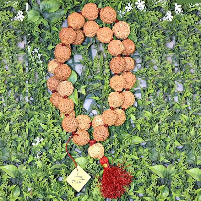 7 Faced Mahalaxmi Rudraksha Mala – image 5