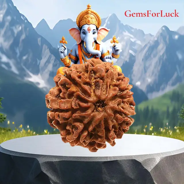 8 Faced Natural Nepali Rudraksha Beads – image 2