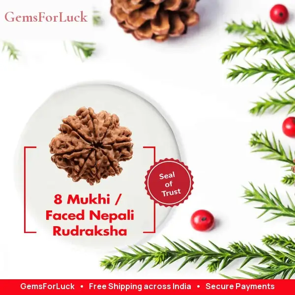 8 Faced Natural Nepali Rudraksha Beads – image 3