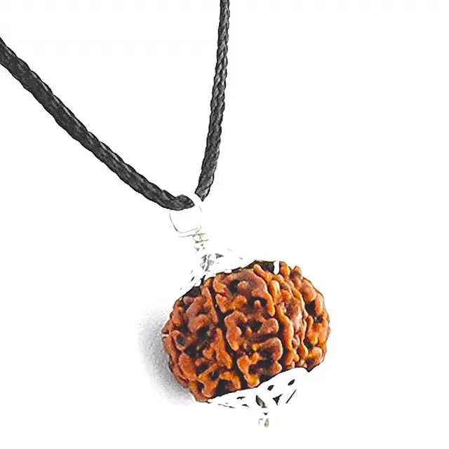 8 Mukhi Rudraksha Pendant – image 3