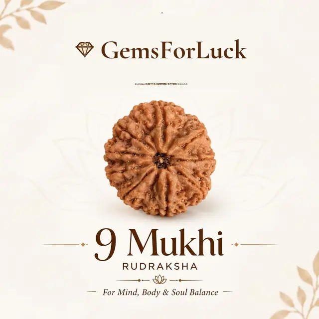9 Mukhi Nepali Rudraksha Beads