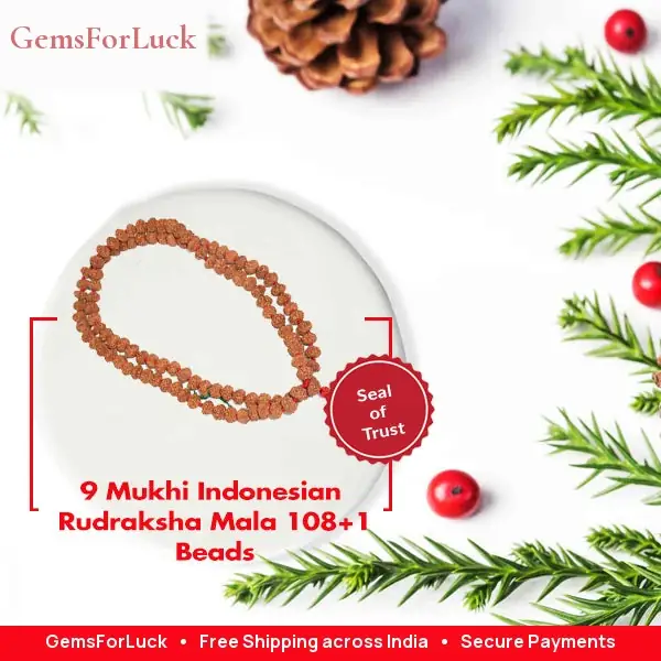 9 Mukhi Indonesian Rudraksha Mala – image 2