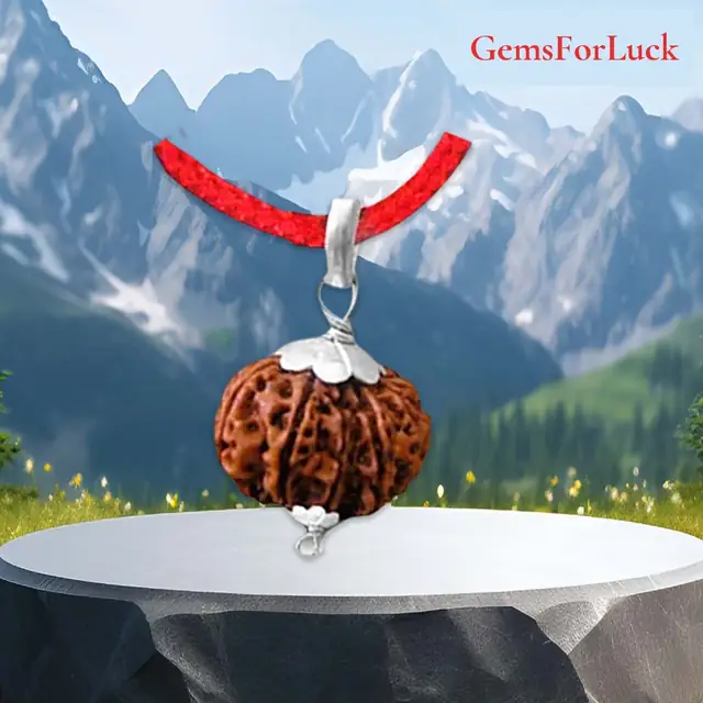 9 Mukhi Rudraksha Pendant kavach