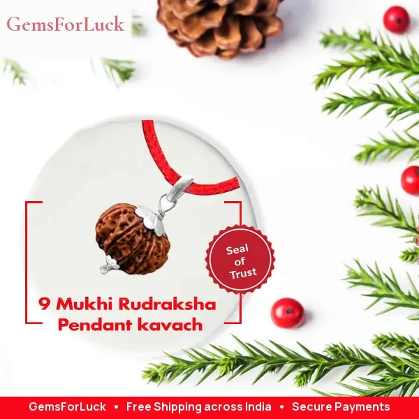 9 Mukhi Rudraksha Pendant kavach – image 2