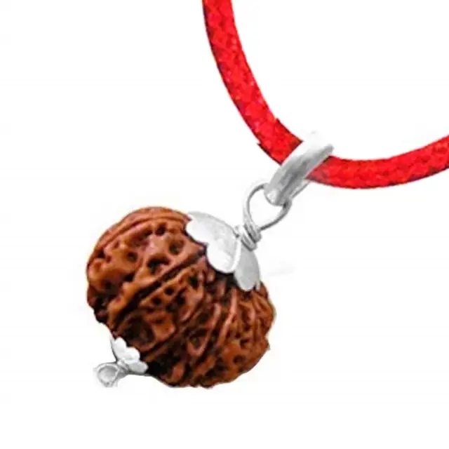 9 Mukhi Rudraksha Pendant kavach – image 3