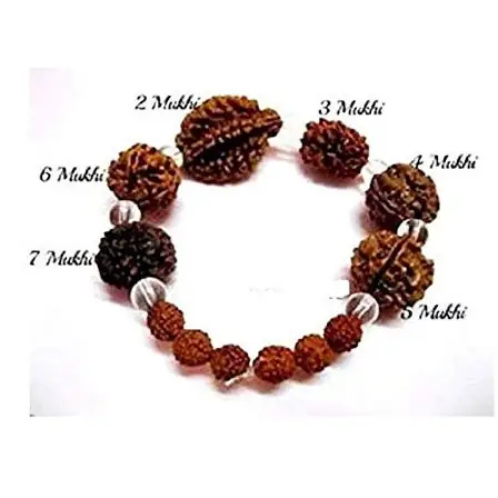 Brown Rudraksh 2 3 4 5 6 7 Mukhi Beads – image 6
