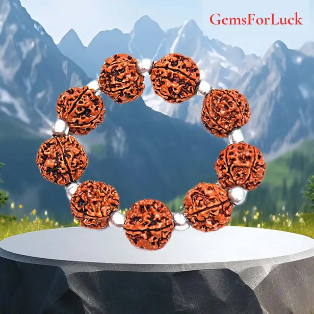 Charming 5 Mukhi Rudraksha & Parad beads Bracelet