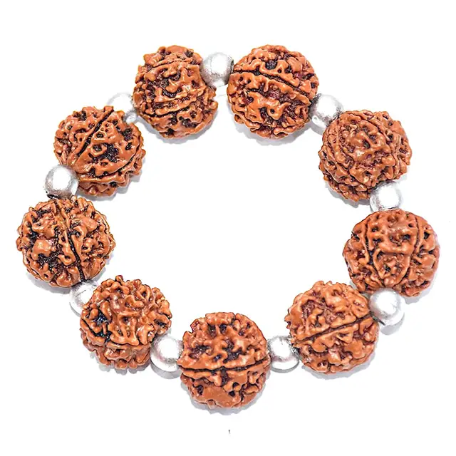 Charming 5 Mukhi Rudraksha & Parad beads Bracelet – image 3