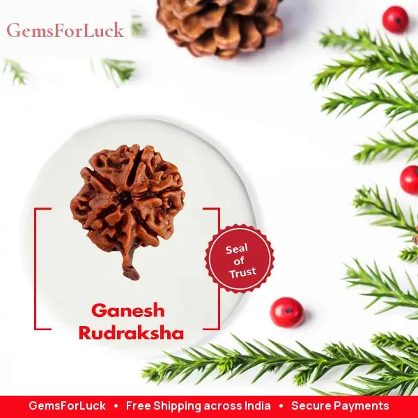 Ganesh Rudraksha Collector – image 2