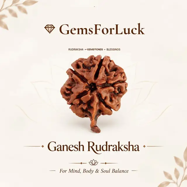 Ganesh Rudraksha