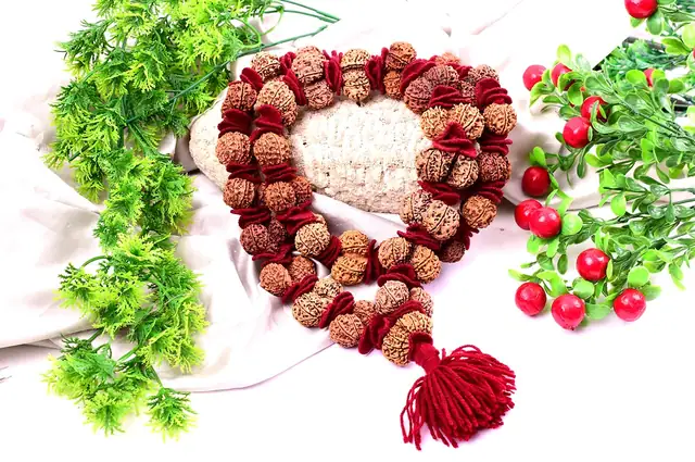 Gauri Shanker Nepali Rudraksha Kantha – image 3
